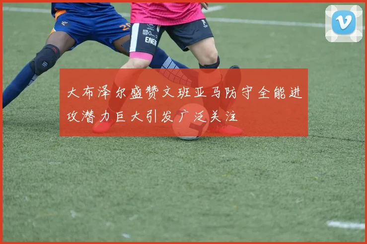 大布泽尔盛赞文班亚马防守全能进攻潜力巨大引发广泛关注