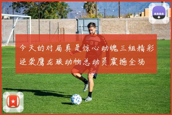 今天的对局真是惊心动魄三组精彩逆袭鹰龙狼动物总动员震撼全场